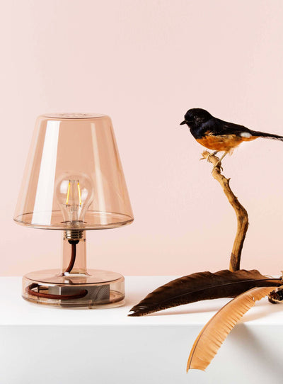 Be the centre of attention with Transloetje - a unique, transparent table lamp inspired by the Edison the Petit. Energy-efficient LED lighting and touch-activated technology make this lamp stand out.